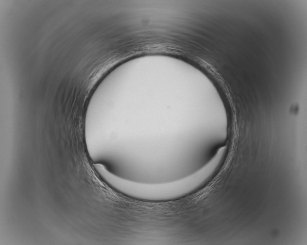 X0000111951089200908241158