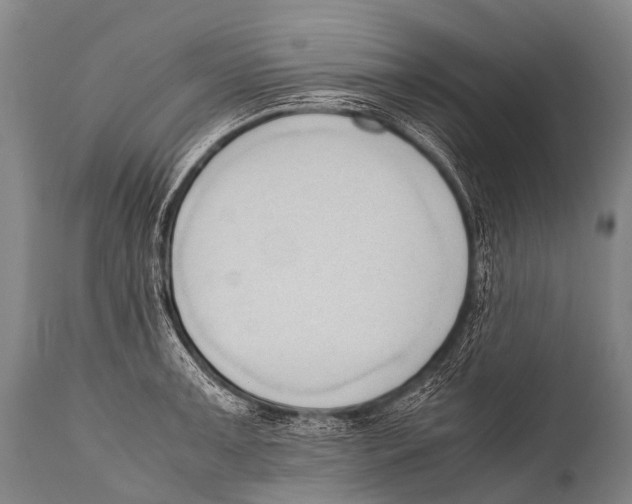 X0000111951091200908241158