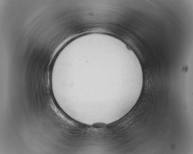 X0000111951092200908241158