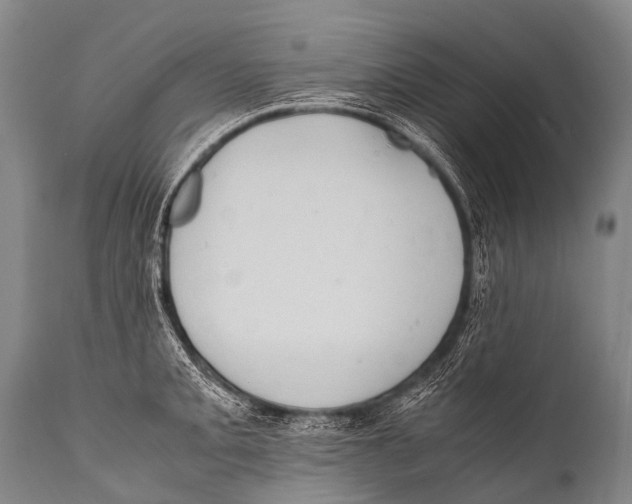 X0000111951093200908241158