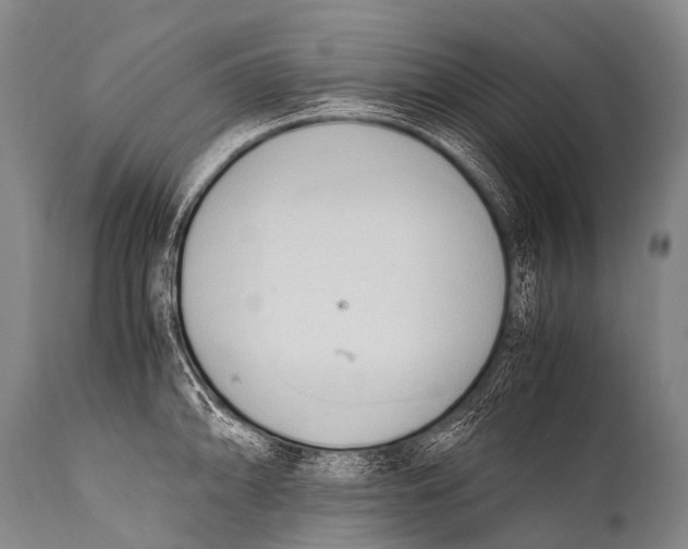 X0000111951094200908241158