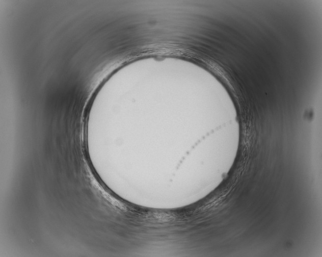 X0000111951095200908241158