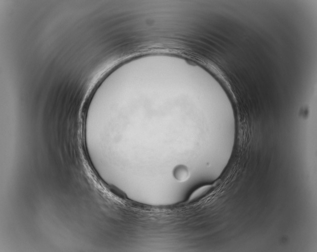 X0000111951096200908241158