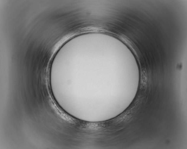 X0000111951098200908241158