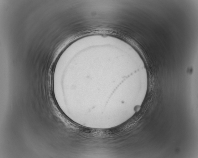 X0000111951099200908241158
