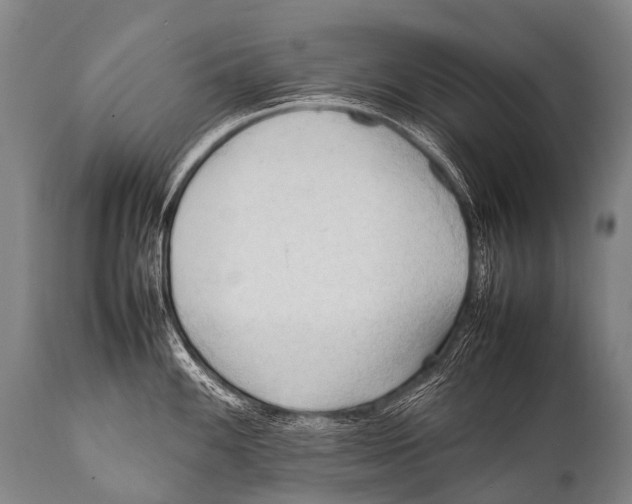 X0000111951100200908241158