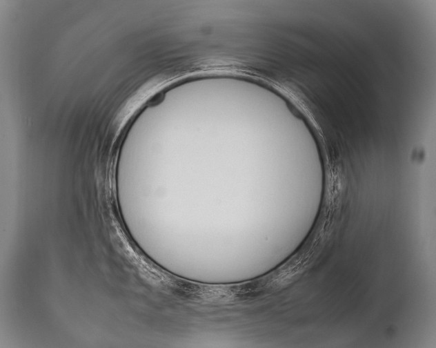 X0000111951101200908241158
