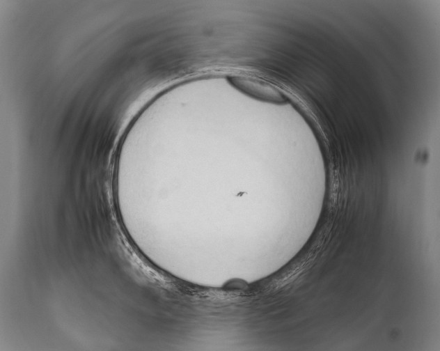 X0000111951102200908241158