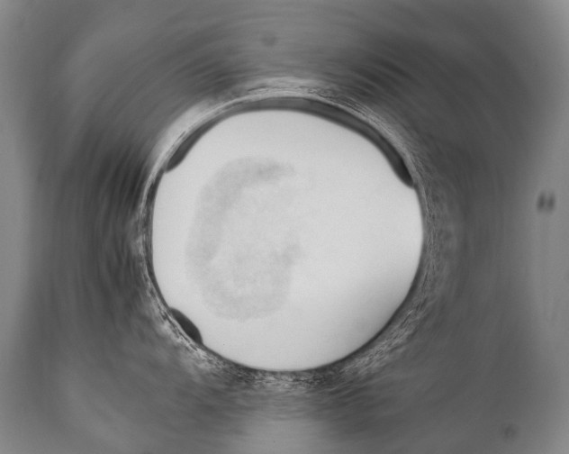 X0000111951104200908241158