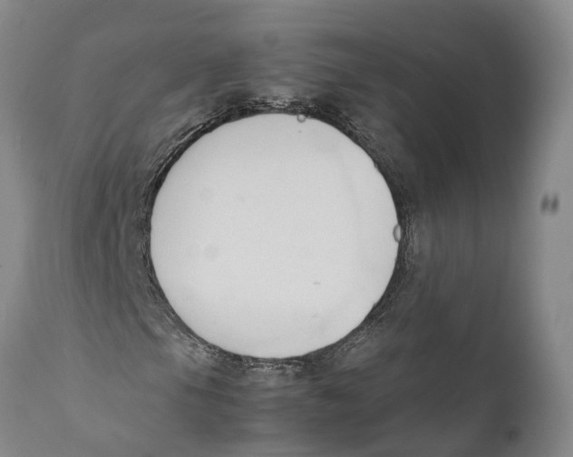 X0000111951105200908241157