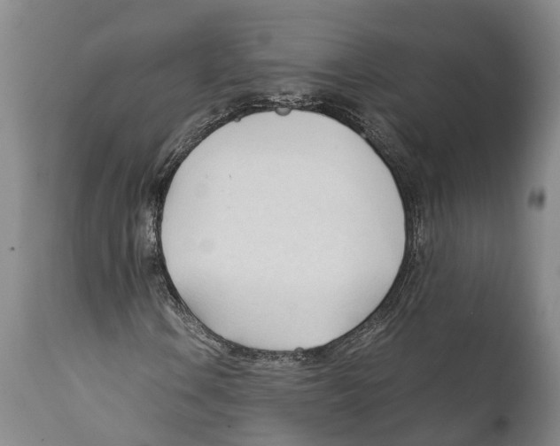 X0000111951106200908241157