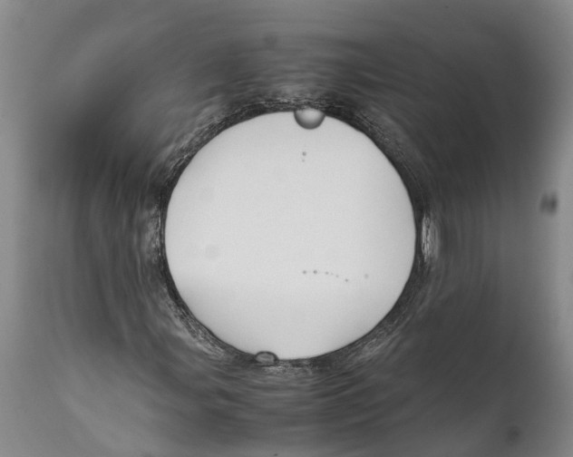 X0000111951107200908241157