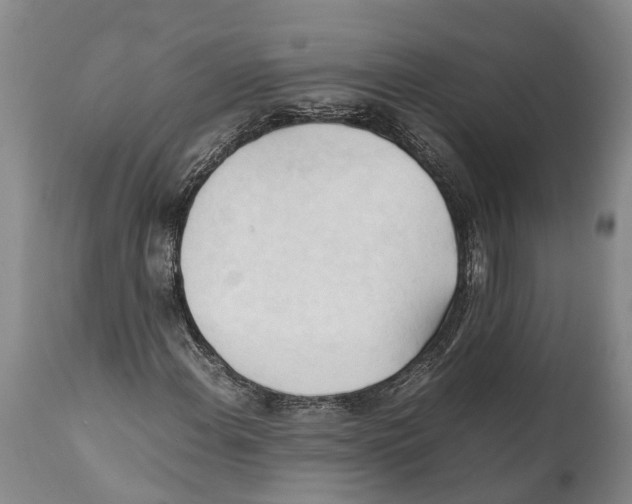 X0000111951108200908241157