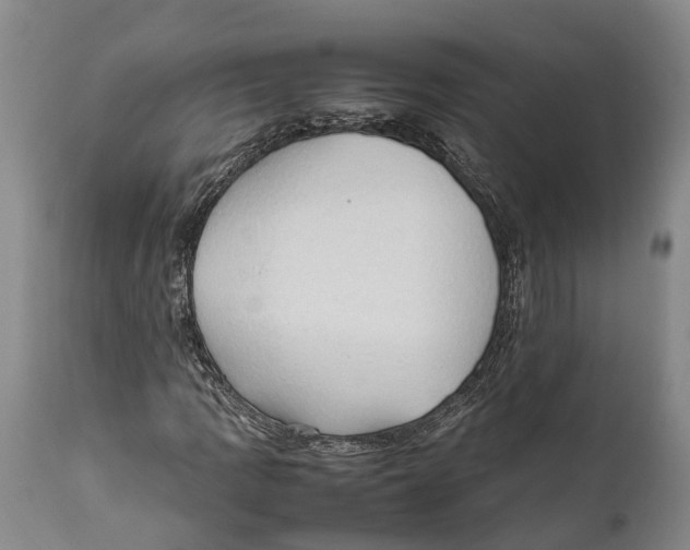 X0000111951109200908241157