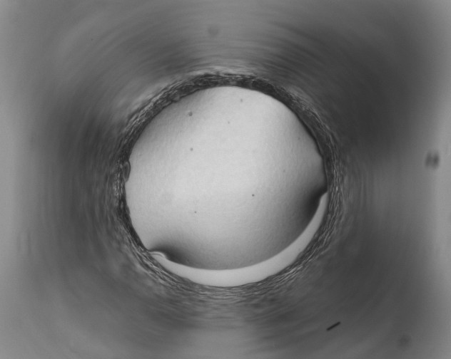 X0000111951110200908241157