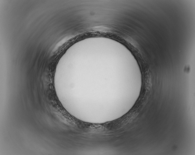 X0000111951112200908241157
