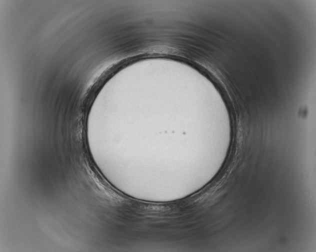 X0000111951115200908241157