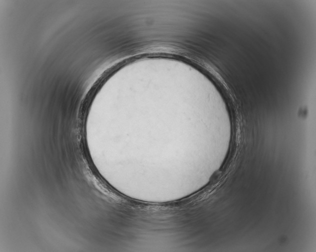 X0000111951116200908241157