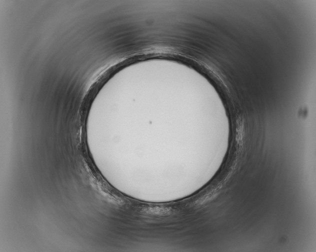 X0000111951117200908241157