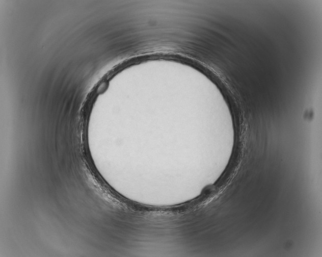 X0000111951118200908241157
