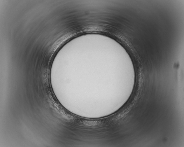 X0000111951121200908241157