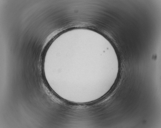 X0000111951122200908241158