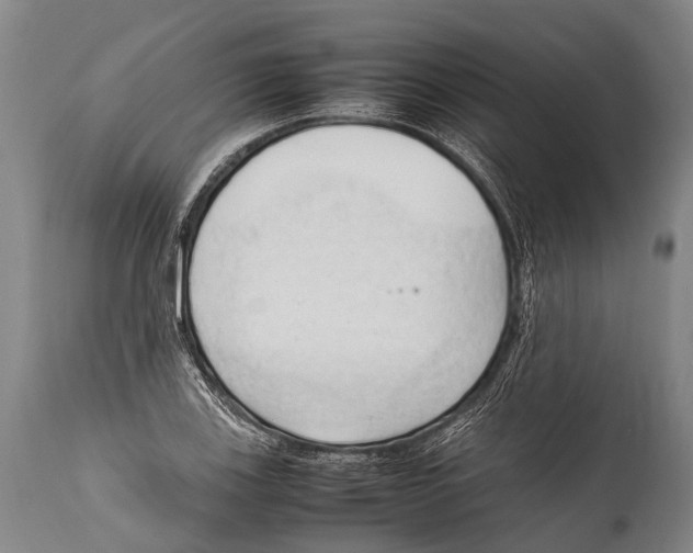 X0000111951123200908241158