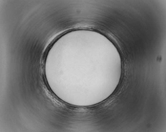 X0000111951124200908241158