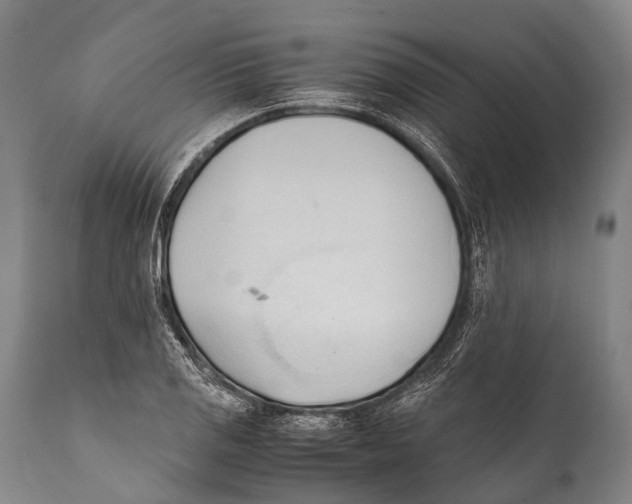 X0000111951125200908241158