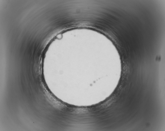 X0000111951126200908241158