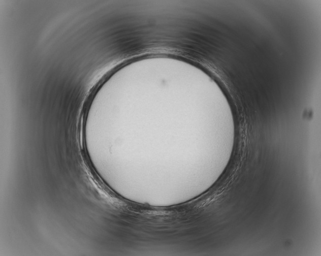 X0000111951127200908241158