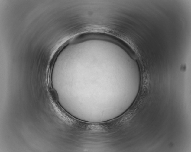 X0000111951128200908241158