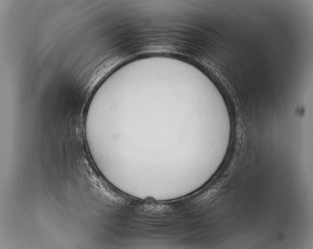 X0000111951129200908241158