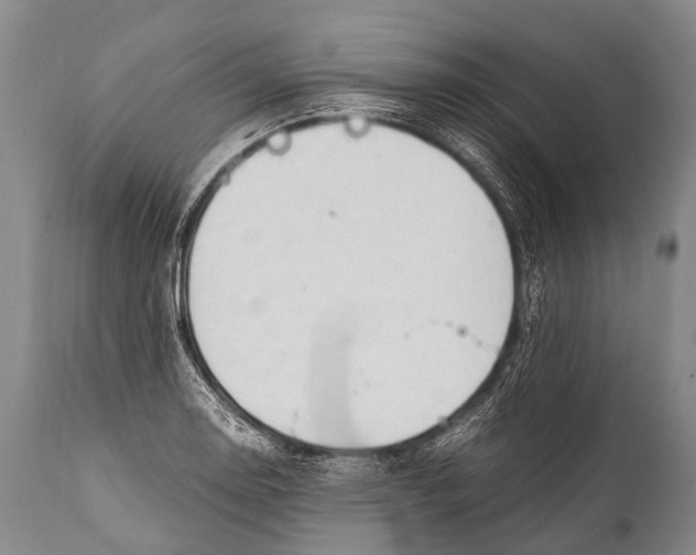 X0000111951130200908241158