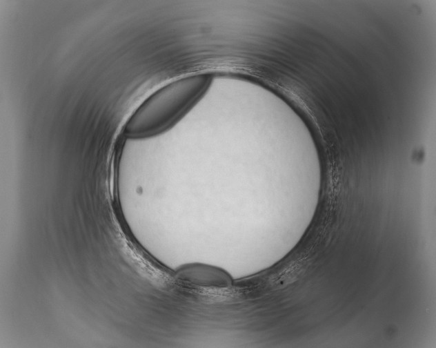 X0000111951132200908241158