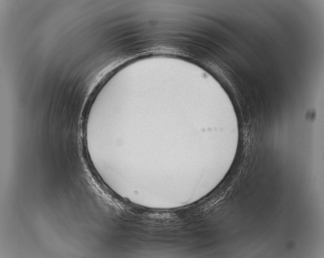 X0000111951133200908241158