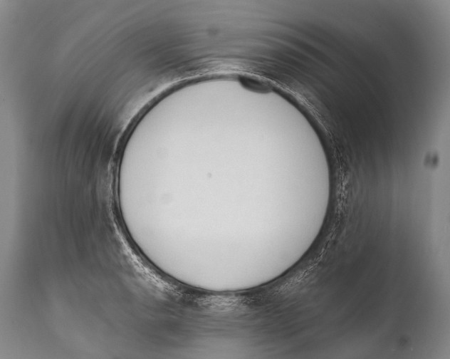 X0000111951134200908241158