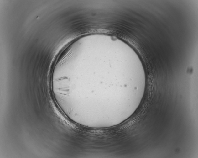X0000111951135200908241158