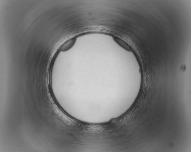 X0000111951136200908241158