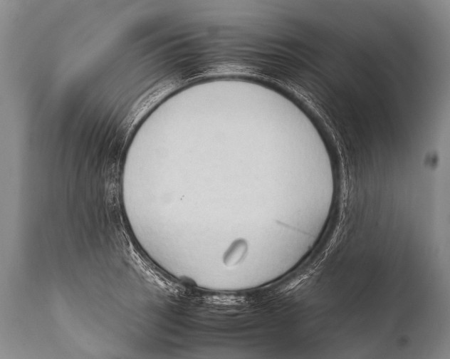 X0000111951137200908241158