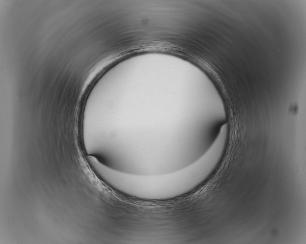 X0000111951138200908241158