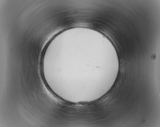 X0000111951139200908241158