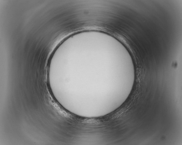X0000111951140200908241158