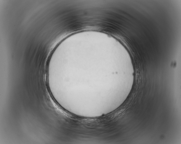 X0000111951143200908241158
