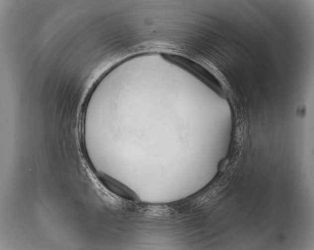 X0000111951144200908241158