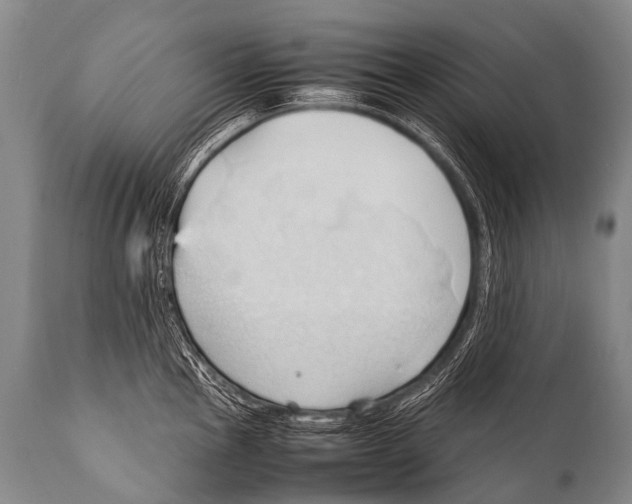 X0000111951145200908241158