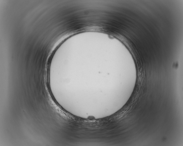 X0000111951147200908241158