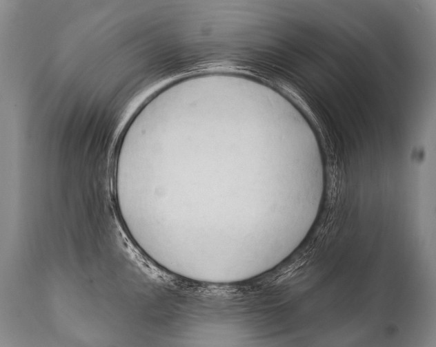 X0000111951148200908241158