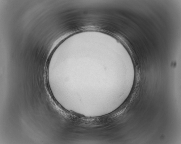 X0000111951149200908241158