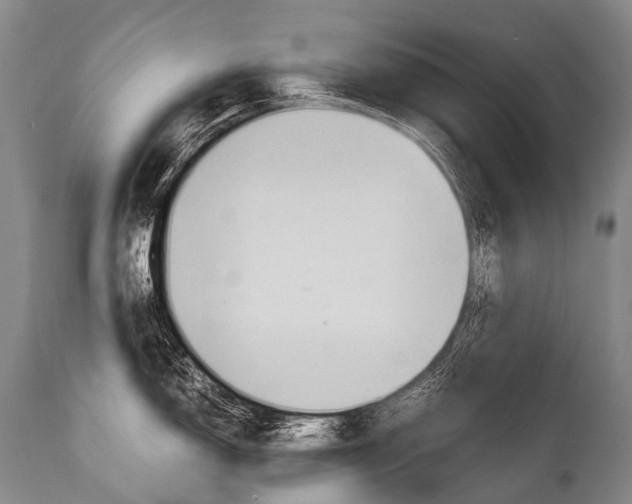 X0000111951150200908241158